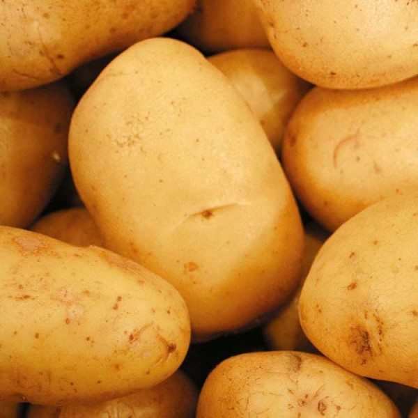 Tulip White Potatoes-1x25kg01